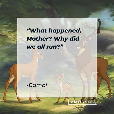 bambi kette|31 Best 'Bambi' Quotes From The Disney Classic .